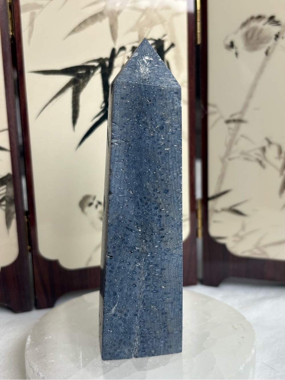 Fossilized Blue coral tower
